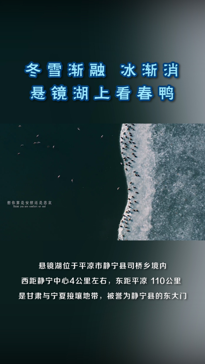 冬雪渐融，冰渐消，悬镜湖上看春鸭